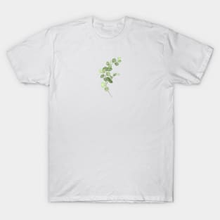 Eucalyptus Botanical T-Shirt